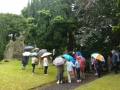 Umbrellas at the ready