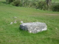wart-stone-s