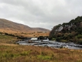 Mayo12